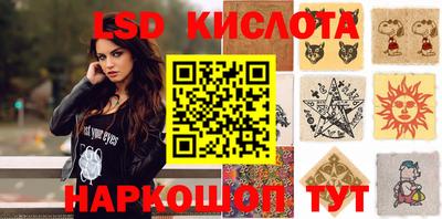 винт Донецк