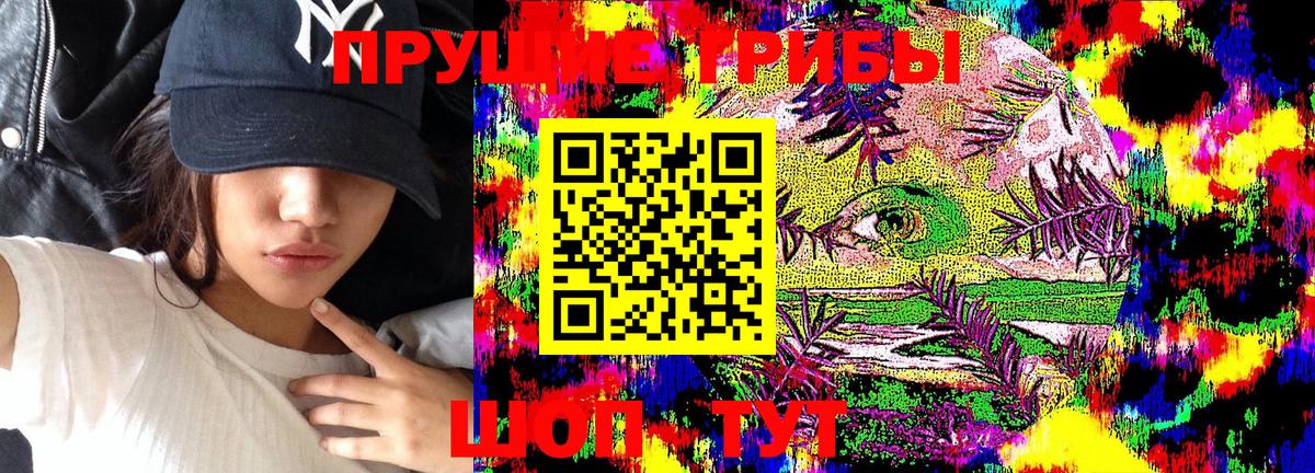 купить наркотики цена  Псилоцибиновые грибы GOLDEN TEACHER  Вход с VPN  Краснокаменск 