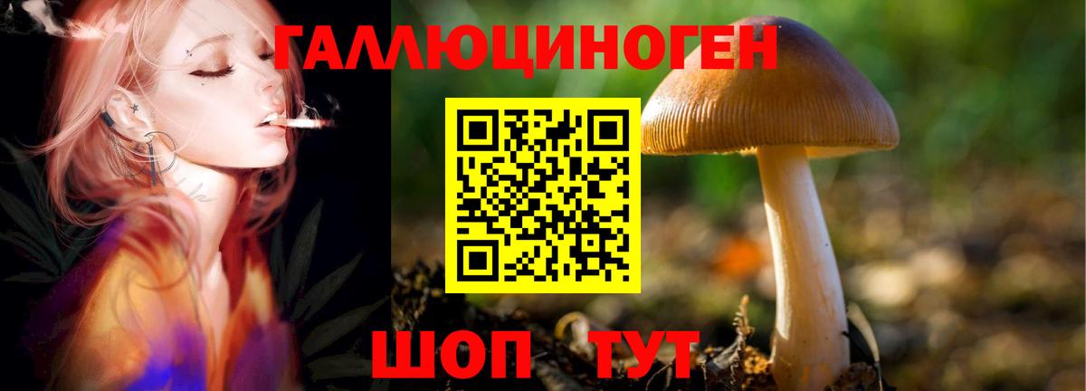 Галлюциногенные грибы ЛСД Краснокаменск